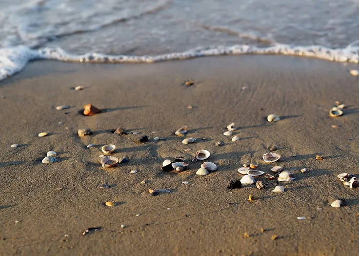 Lovely And Cozy Beachside Flat-beahost Lägenhet